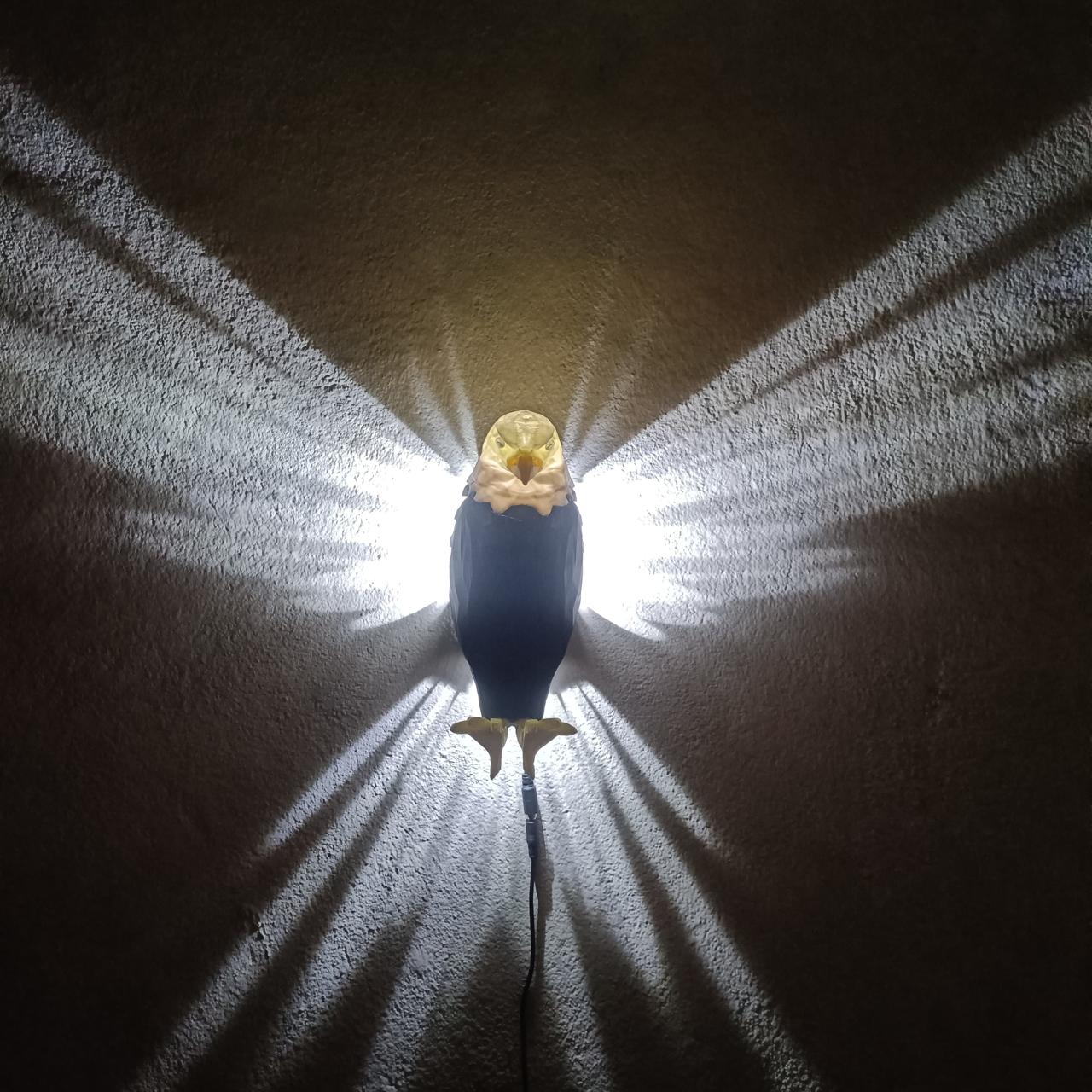 Eagle Lamp